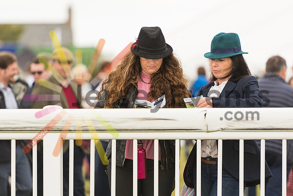 RDOS_0045_Public (15 of 100)