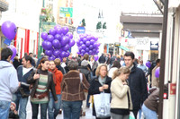 lp91nn_iq_251107_2875
