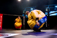 sumo