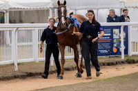 Champions Day 30 Aug 26