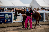 Ladies Day 16 Aug 26