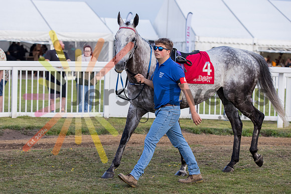 tw_130625_0446
