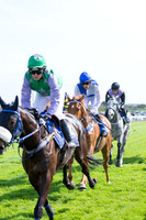 The Warwick Vase 27/05/2019