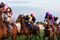 The Champion Hurdle Evening Meet 05/07/2019