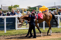 The Jersey Guineas 11 May 25
